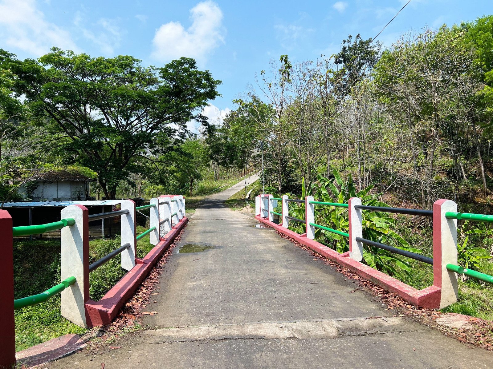 WhatsApp Image 2024-11-02 at 10.51.25