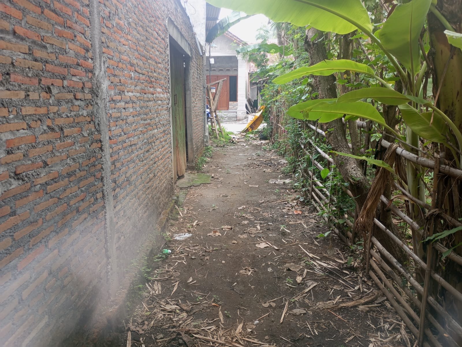 WhatsApp Image 2024-11-14 at 11.35.01