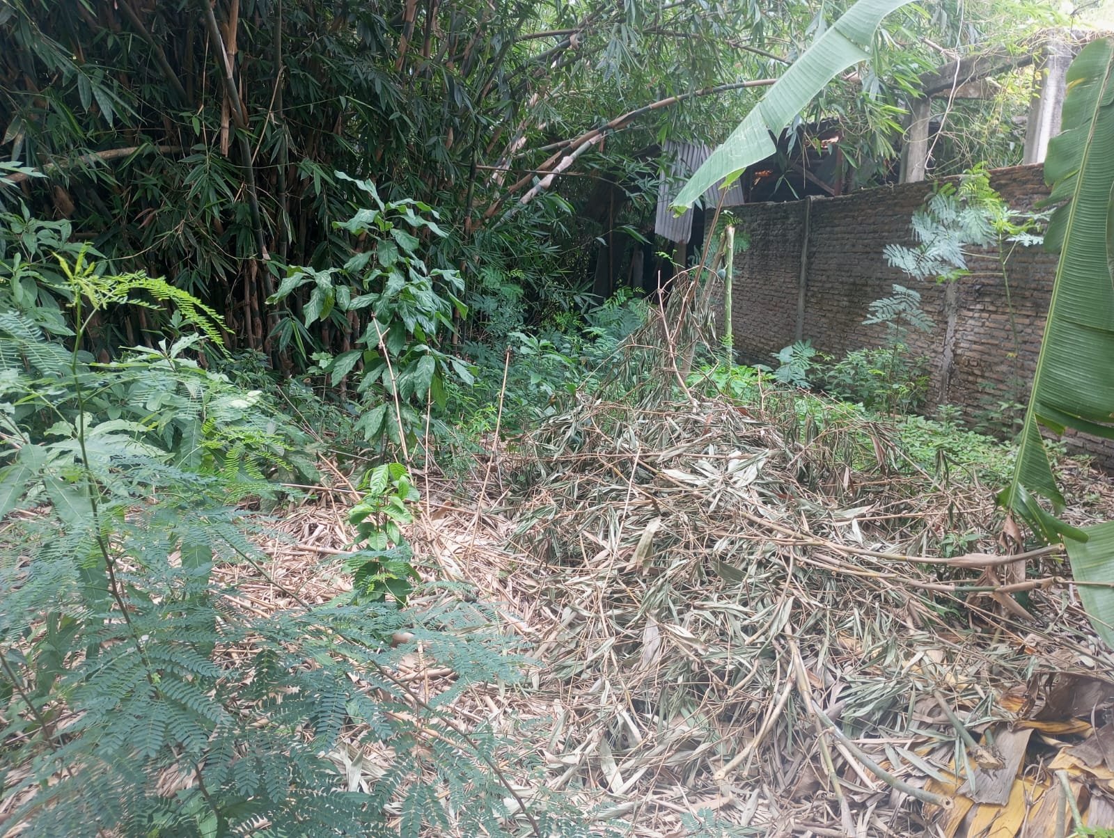 WhatsApp Image 2024-11-14 at 11.35.02 (1)