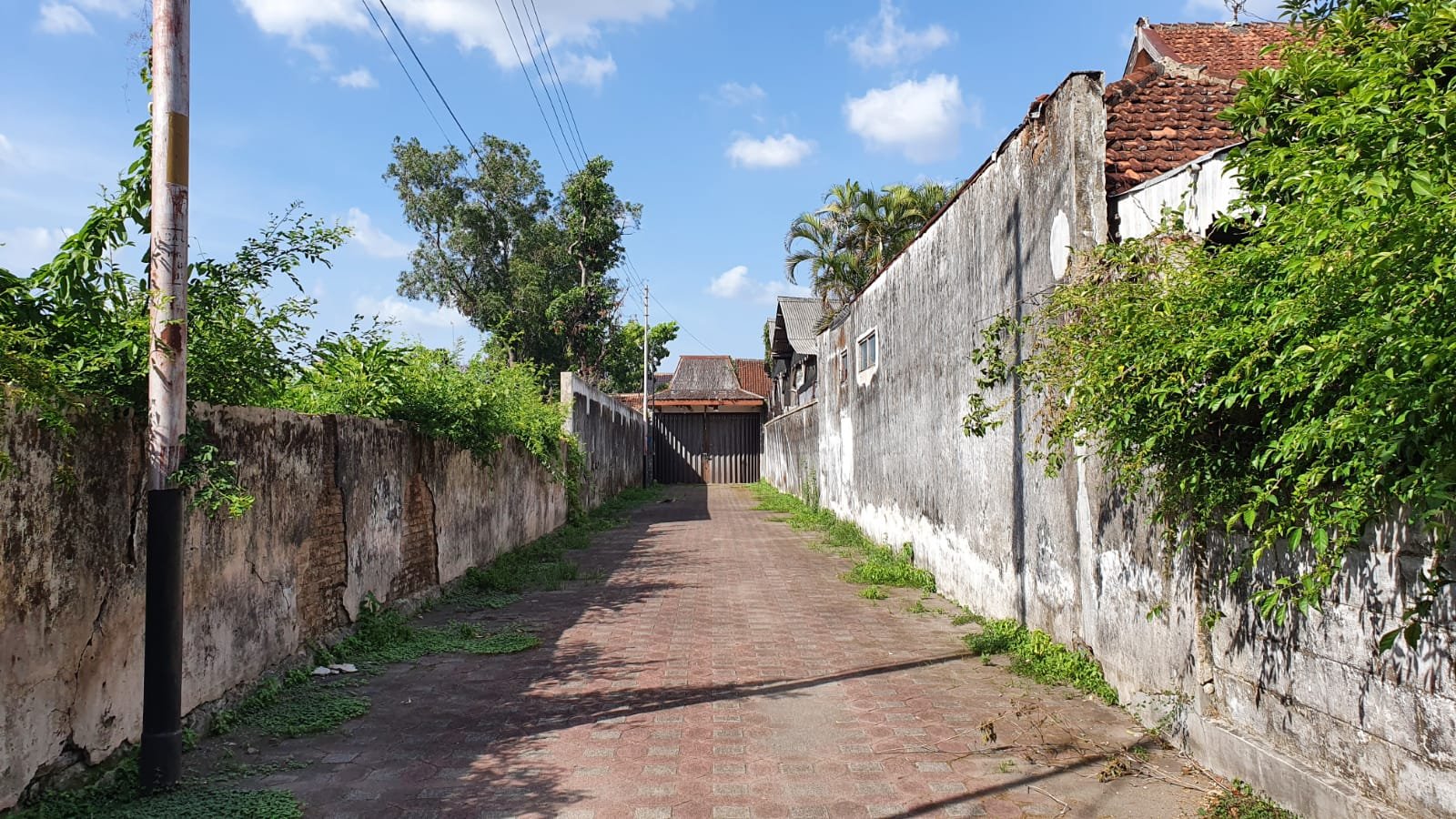 WhatsApp Image 2024-12-08 at 16.43.44 (1)