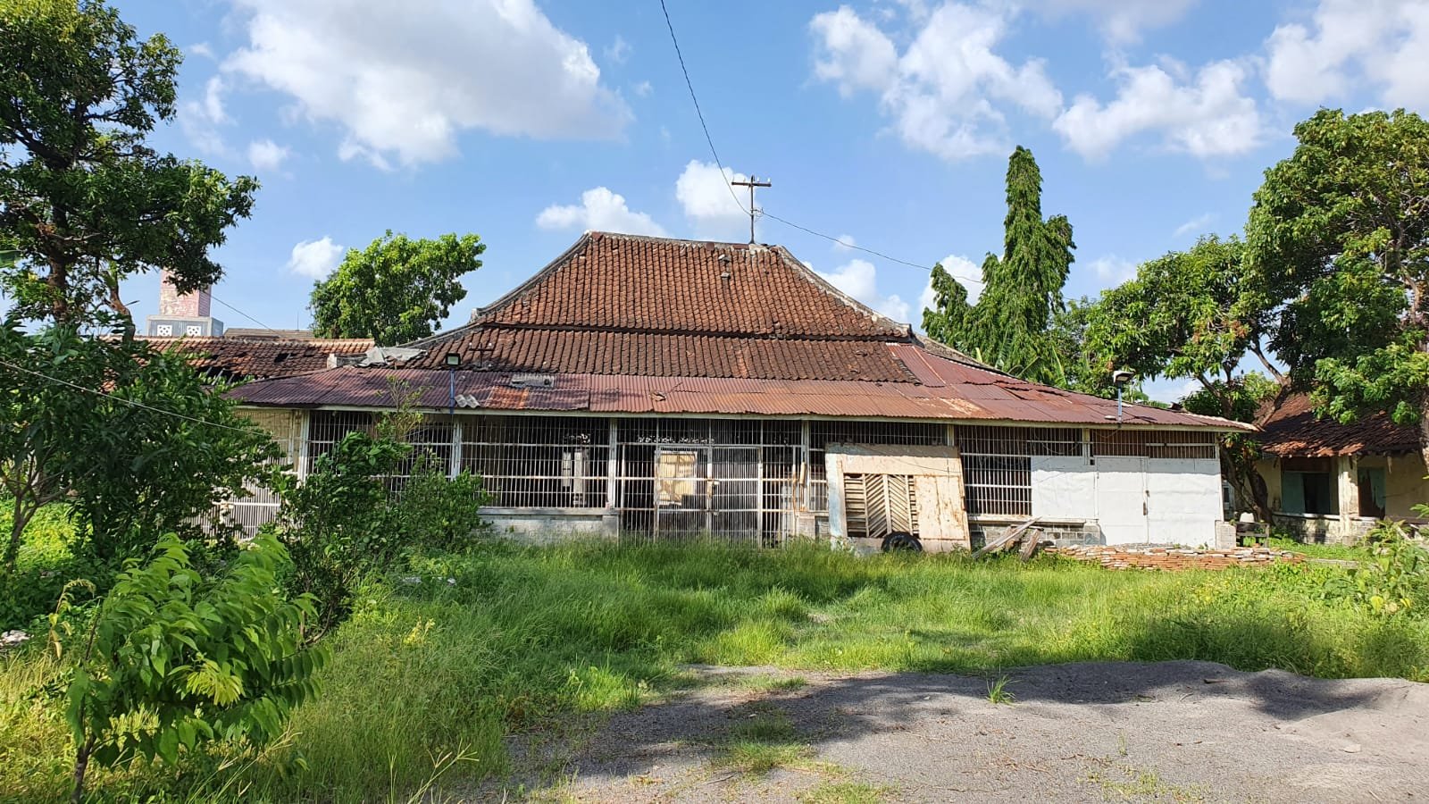 WhatsApp Image 2024-12-08 at 16.43.44