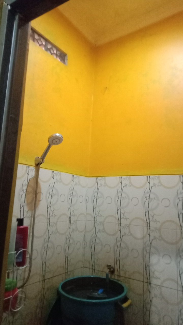 WhatsApp Image 2024-12-12 at 11.40.22 (1)