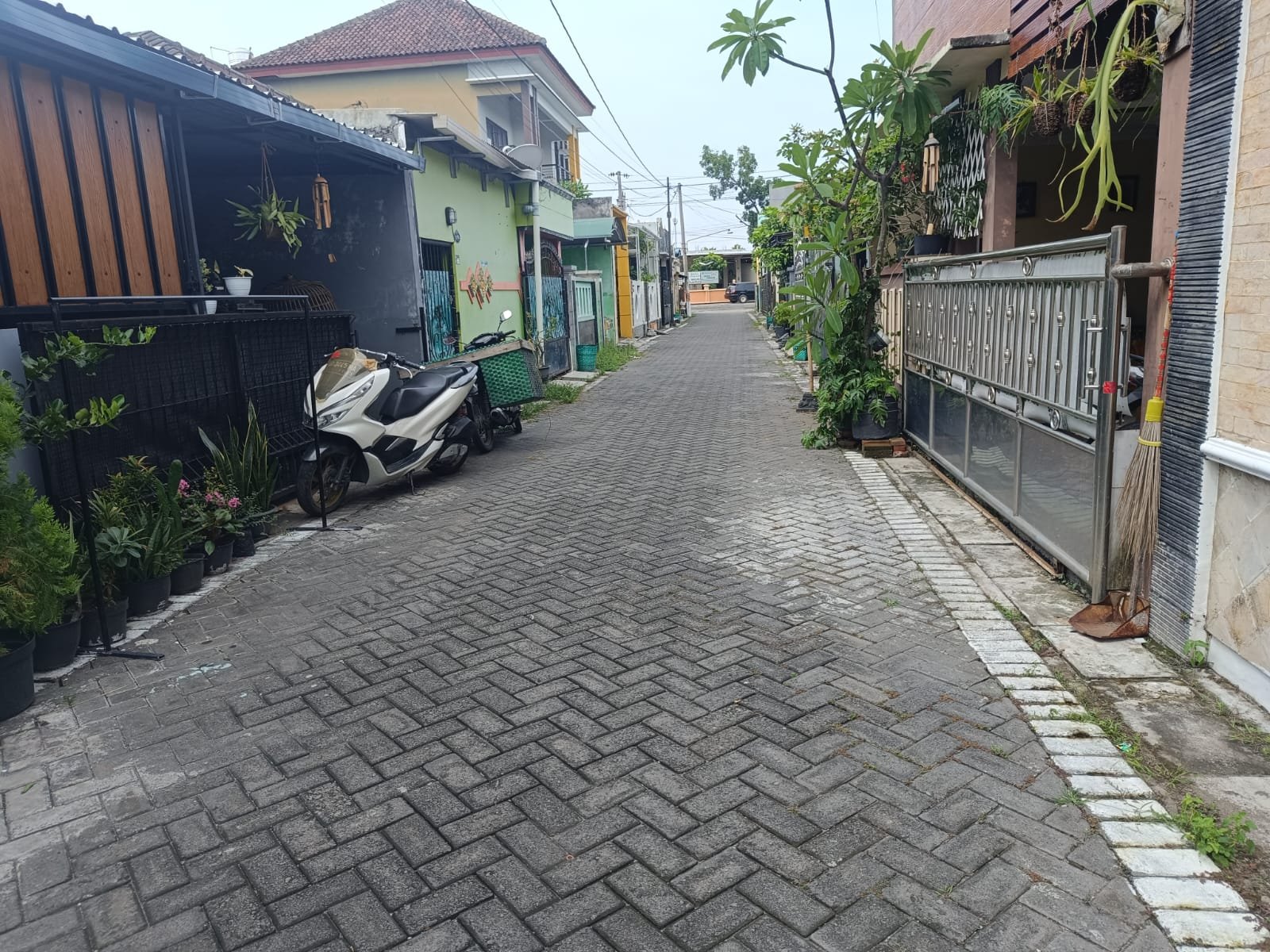 WhatsApp Image 2024-12-12 at 11.45.32