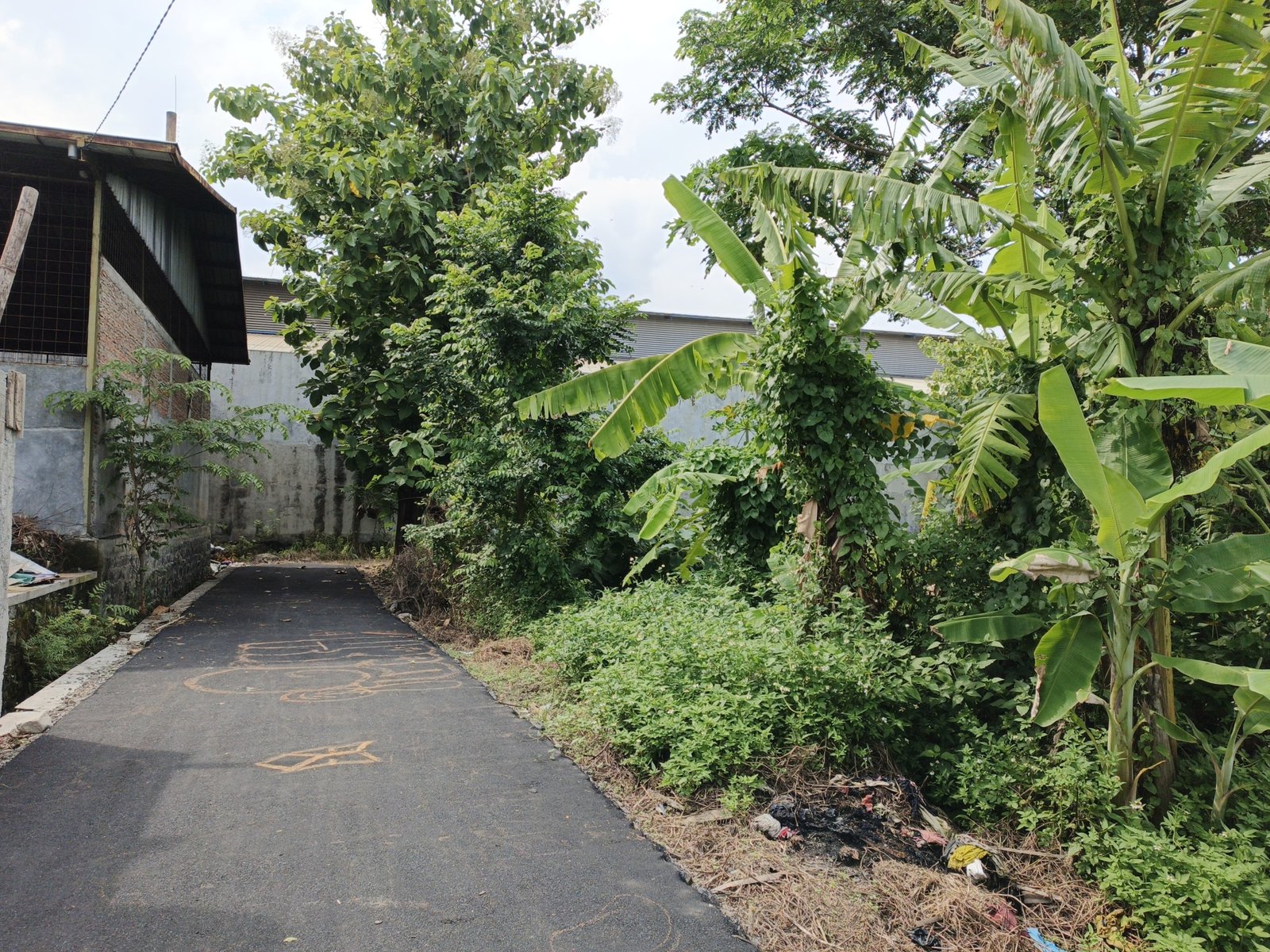 WhatsApp Image 2024-12-20 at 10.44.05 (1)