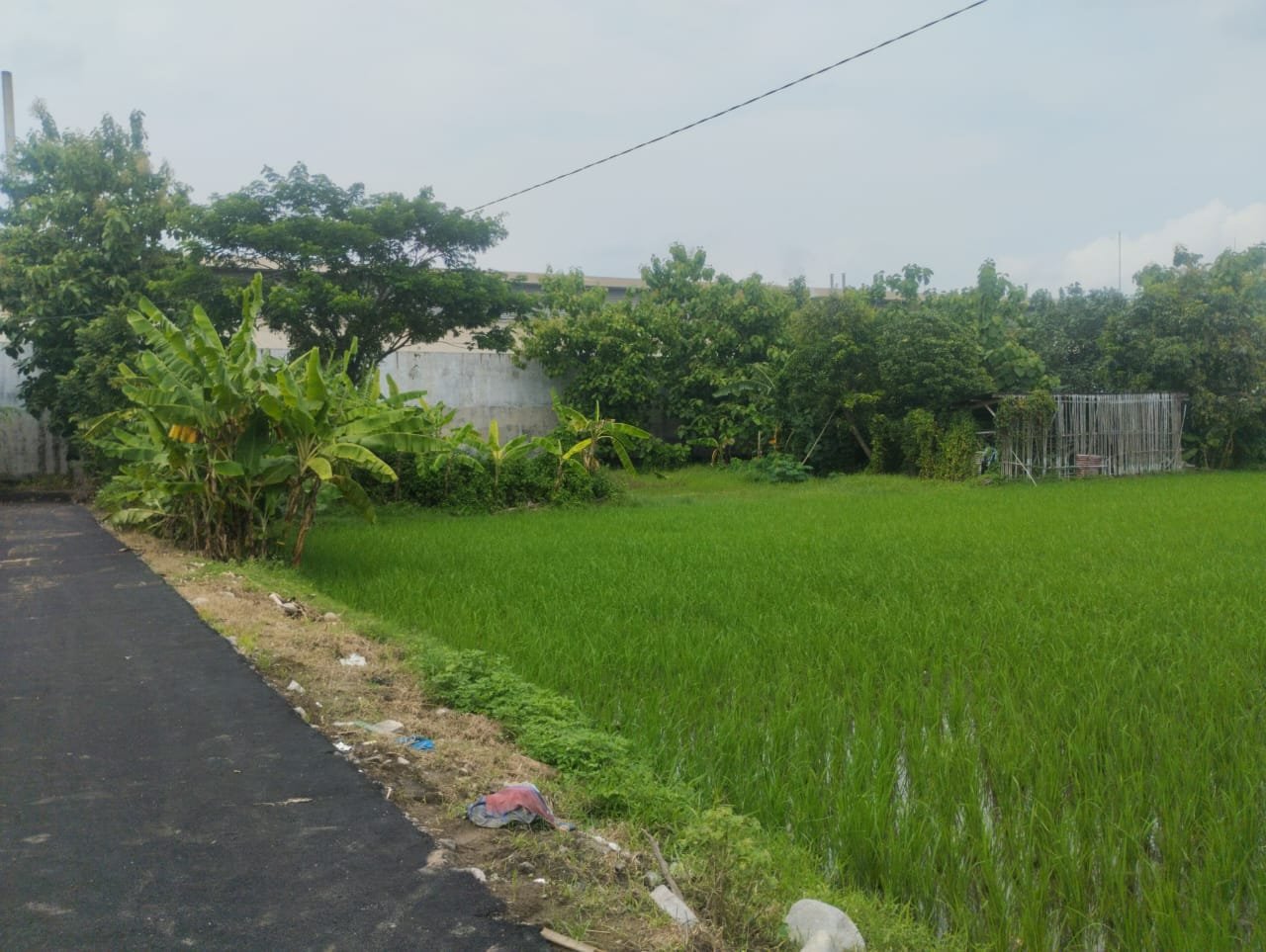 WhatsApp Image 2024-12-20 at 10.44.05