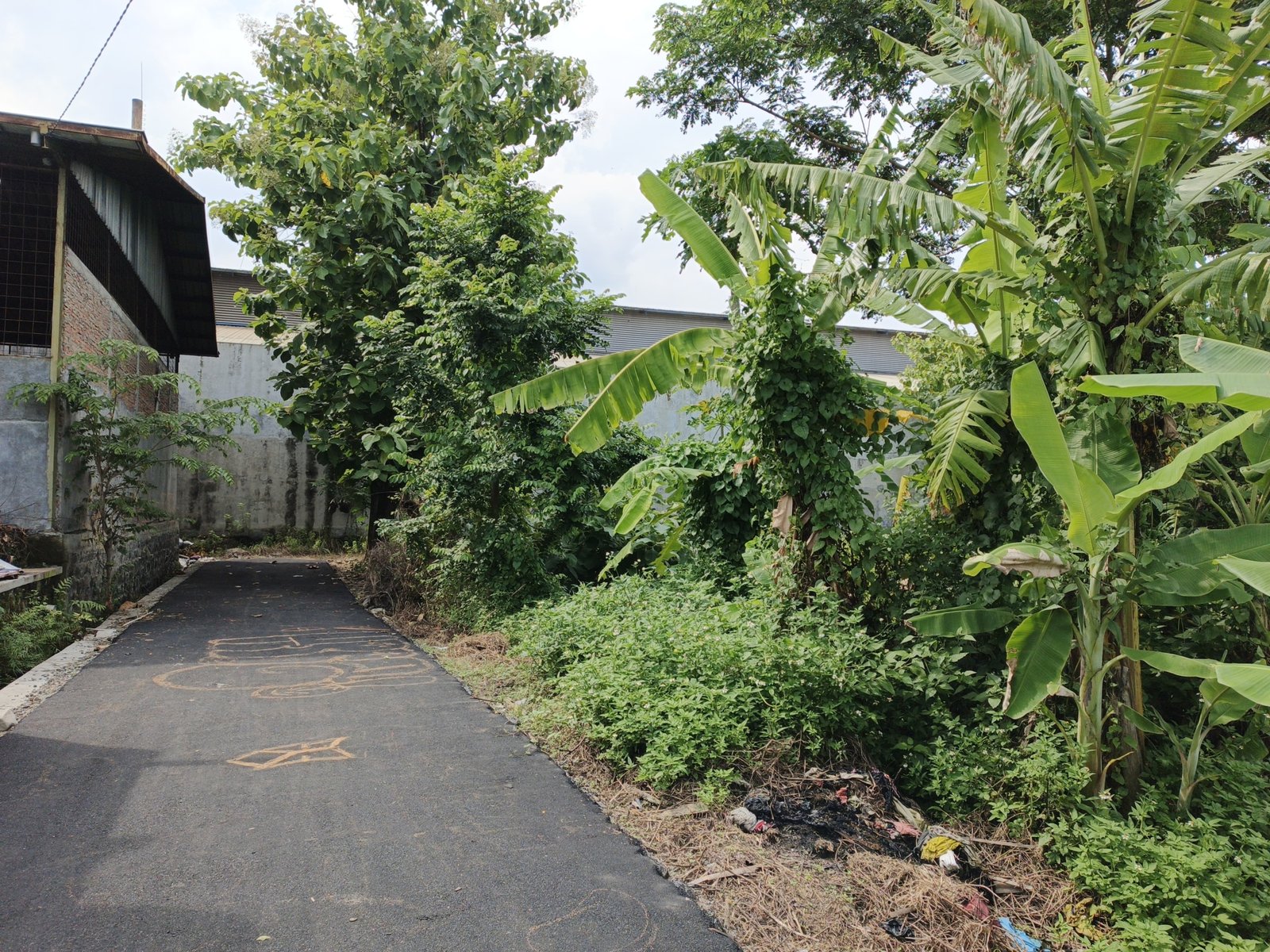 WhatsApp Image 2024-12-20 at 10.44.06