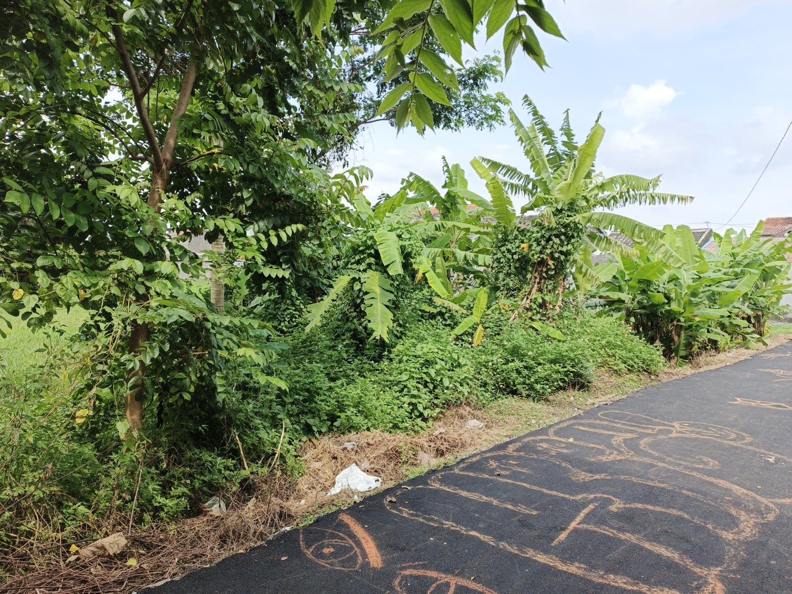 WhatsApp Image 2024-12-20 at 10.44.07 (1)