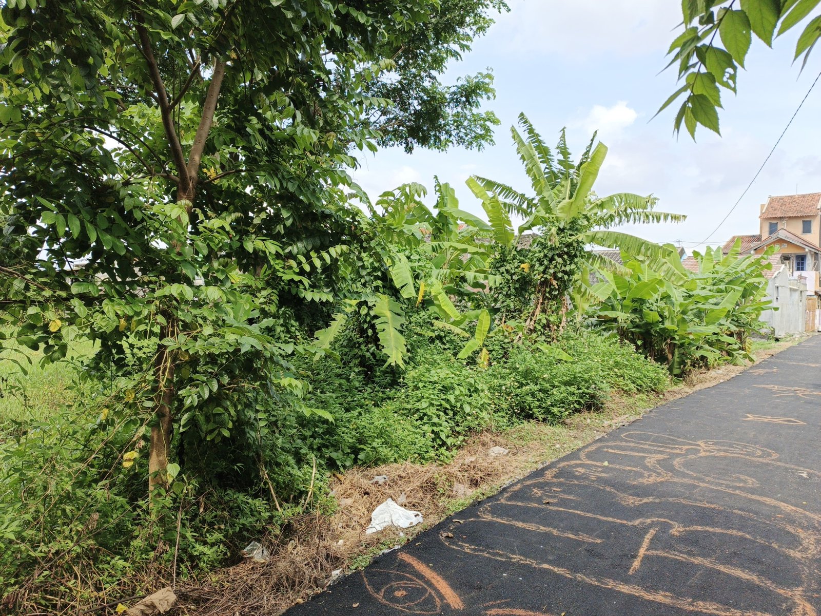 WhatsApp Image 2024-12-20 at 10.44.08 (1)