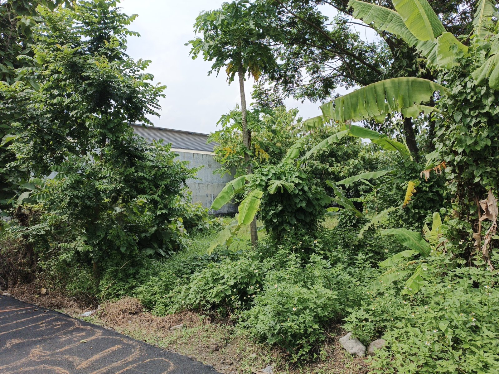 WhatsApp Image 2024-12-20 at 10.44.08