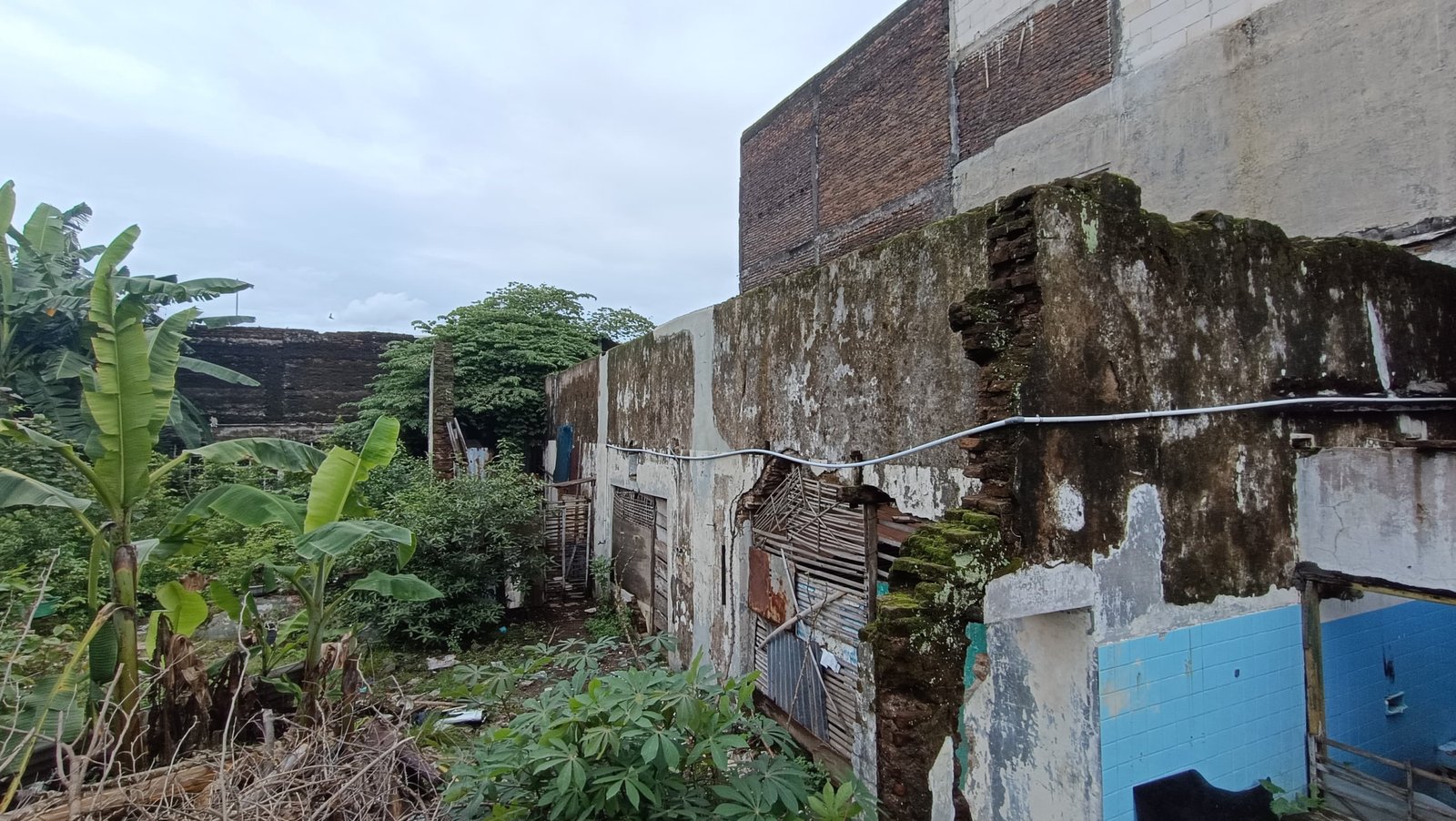 WhatsApp Image 2024-12-28 at 11.55.15 (1)