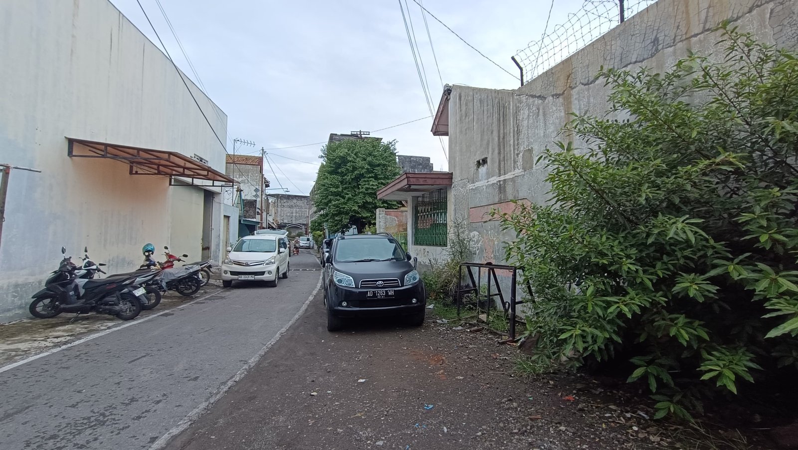 WhatsApp Image 2024-12-28 at 11.55.15