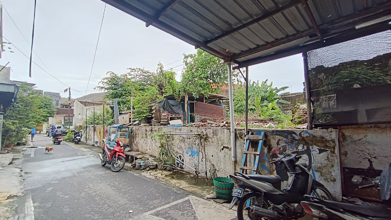 WhatsApp Image 2024-12-28 at 11.55.16 (1)