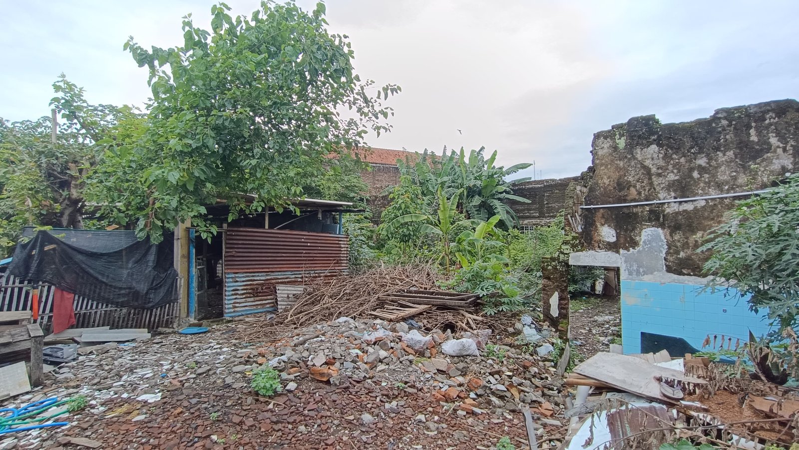 WhatsApp Image 2024-12-28 at 11.55.17 (1)