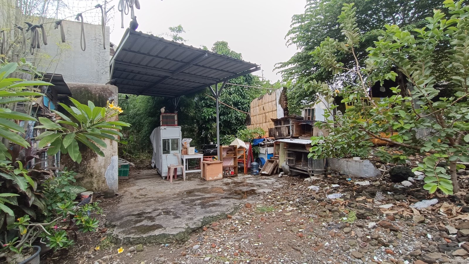 WhatsApp Image 2024-12-28 at 11.55.17 (2)