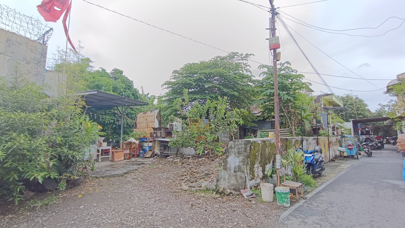 WhatsApp Image 2024-12-28 at 11.55.17