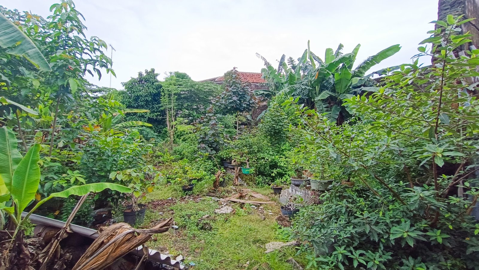 WhatsApp Image 2024-12-28 at 11.55.18