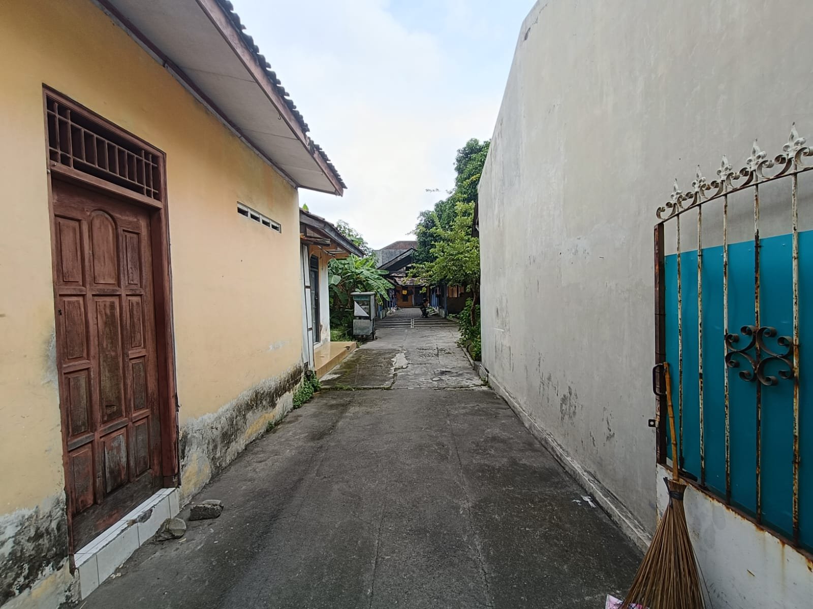 WhatsApp Image 2024-12-29 at 23.31.15