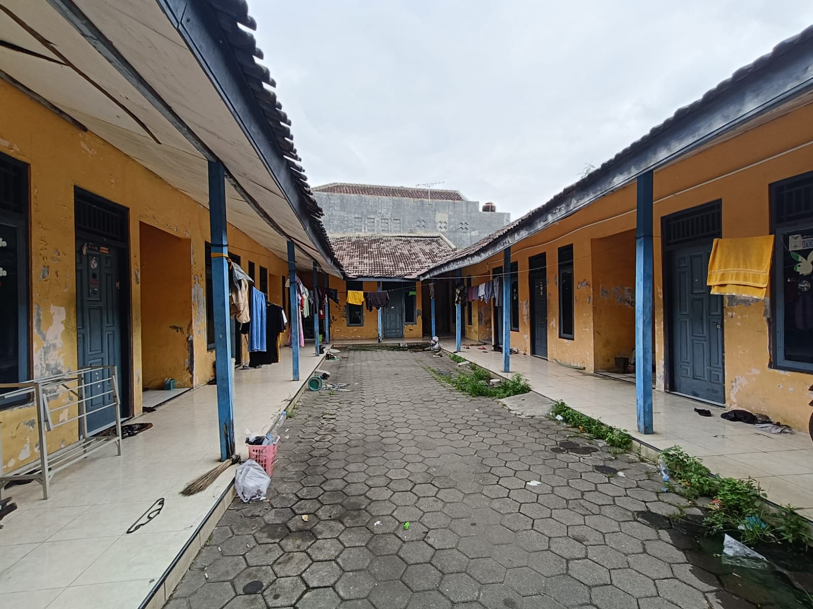 WhatsApp Image 2024-12-29 at 23.31.16 (1)