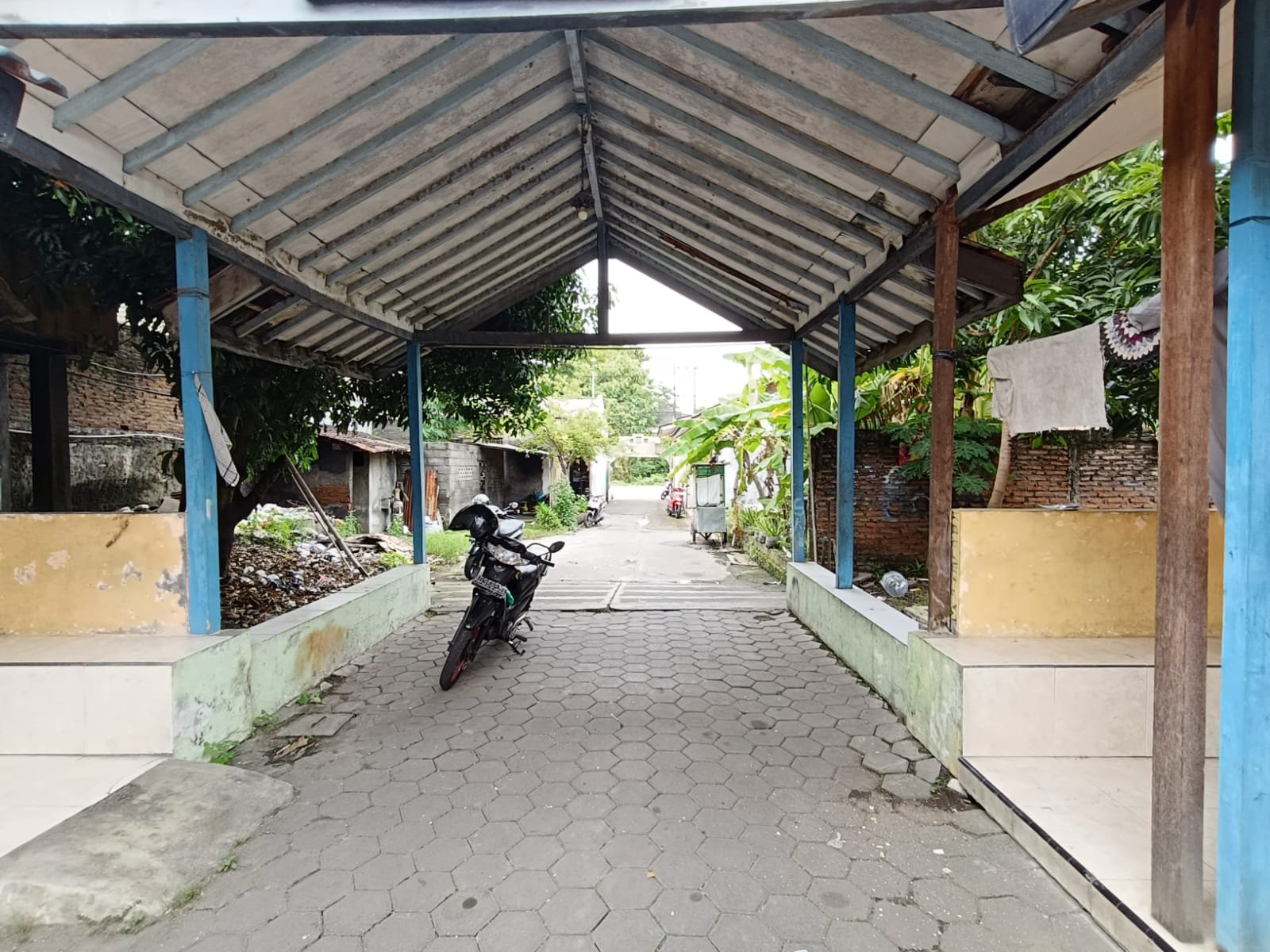 WhatsApp Image 2024-12-29 at 23.31.16