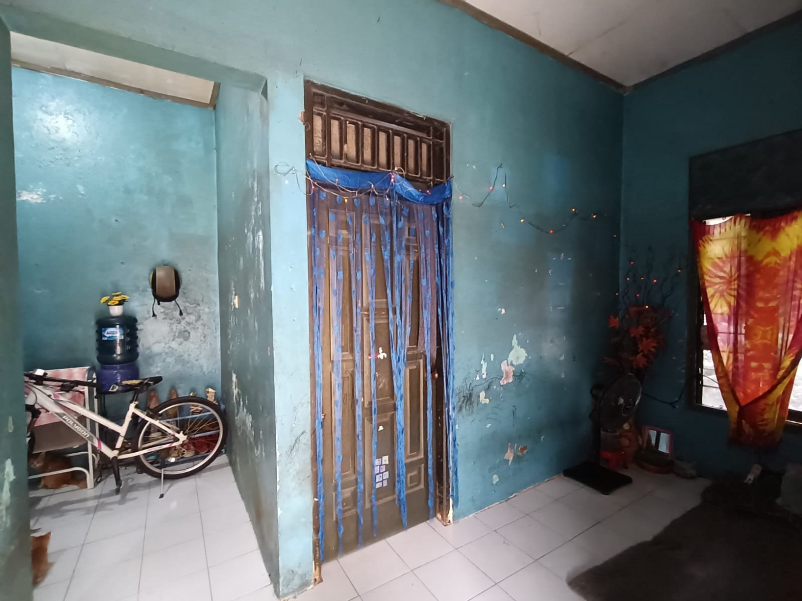 WhatsApp Image 2024-12-29 at 23.31.17 (1)