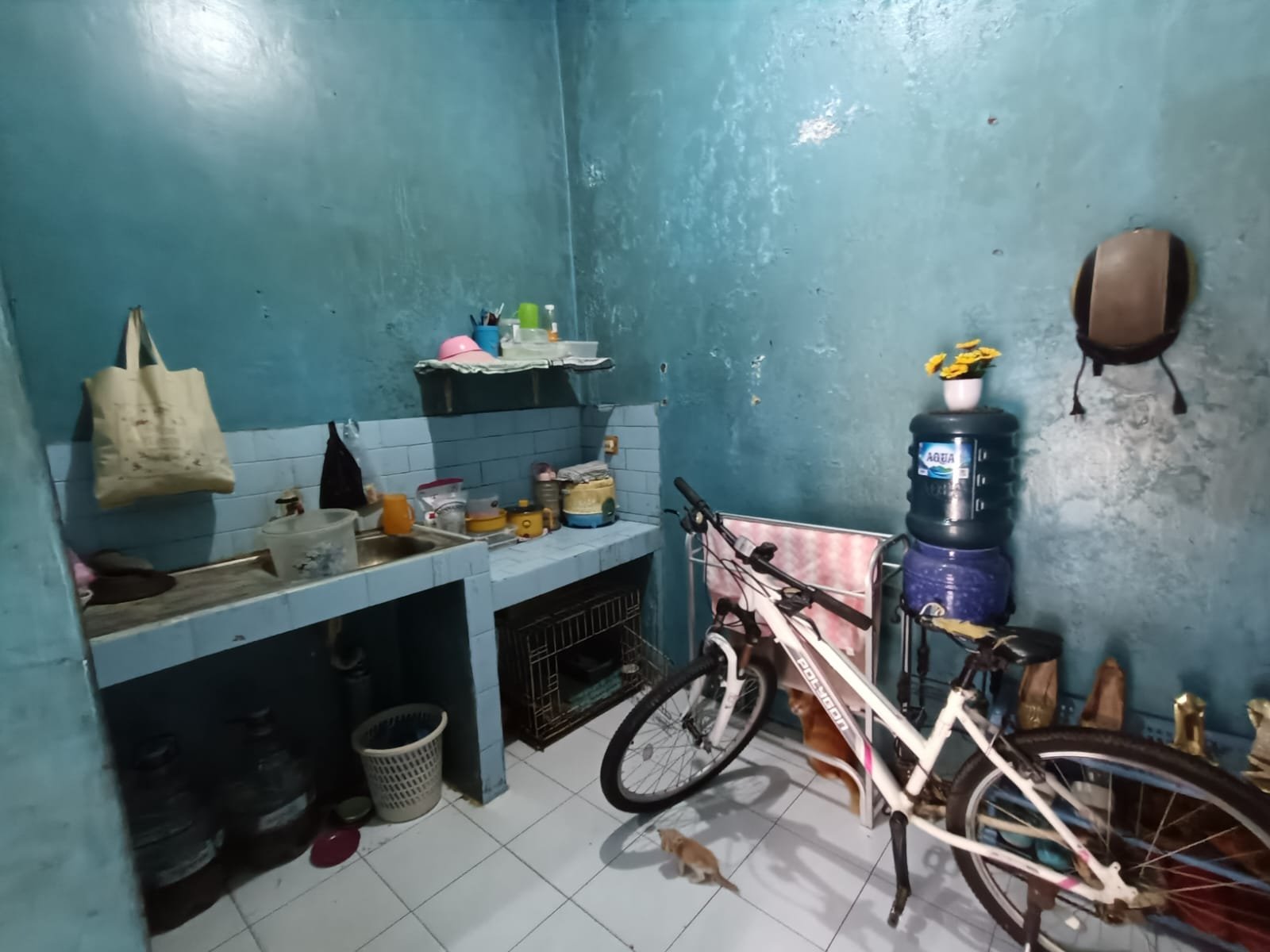 WhatsApp Image 2024-12-29 at 23.31.17 (2)