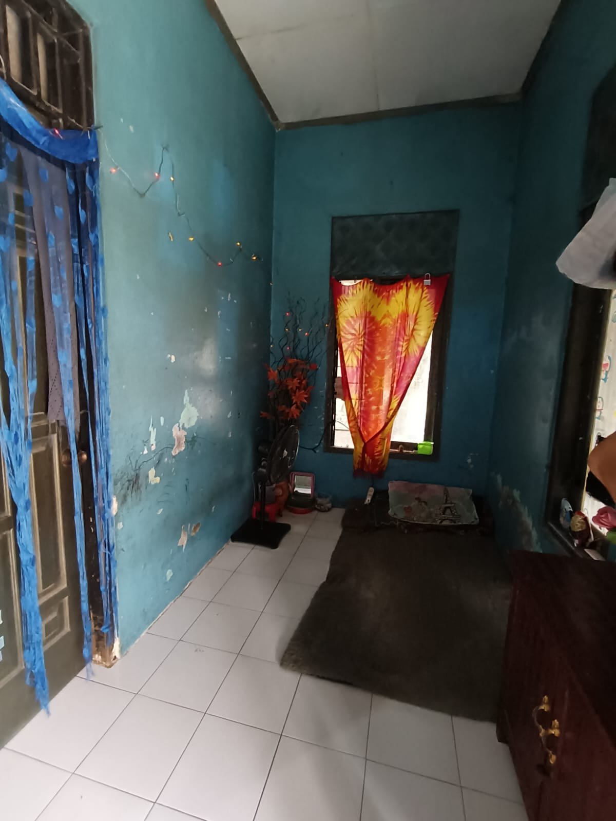 WhatsApp Image 2024-12-29 at 23.31.17