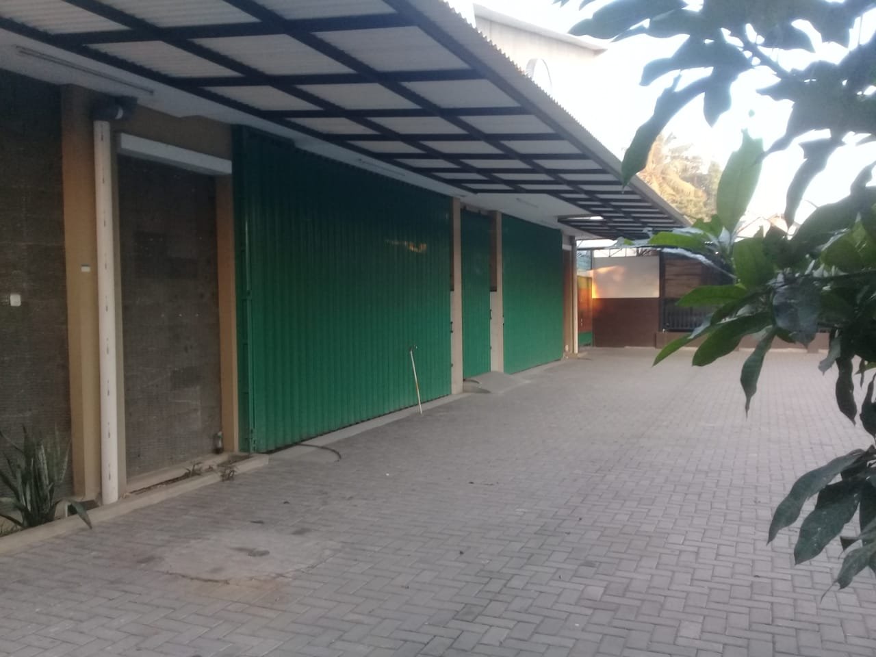 WhatsApp Image 2025-01-03 at 18.05.49 (1)