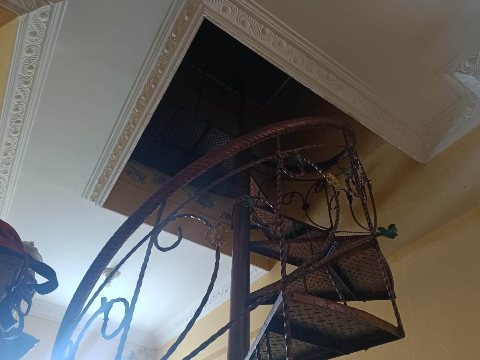 WhatsApp Image 2025-01-04 at 13.18.36