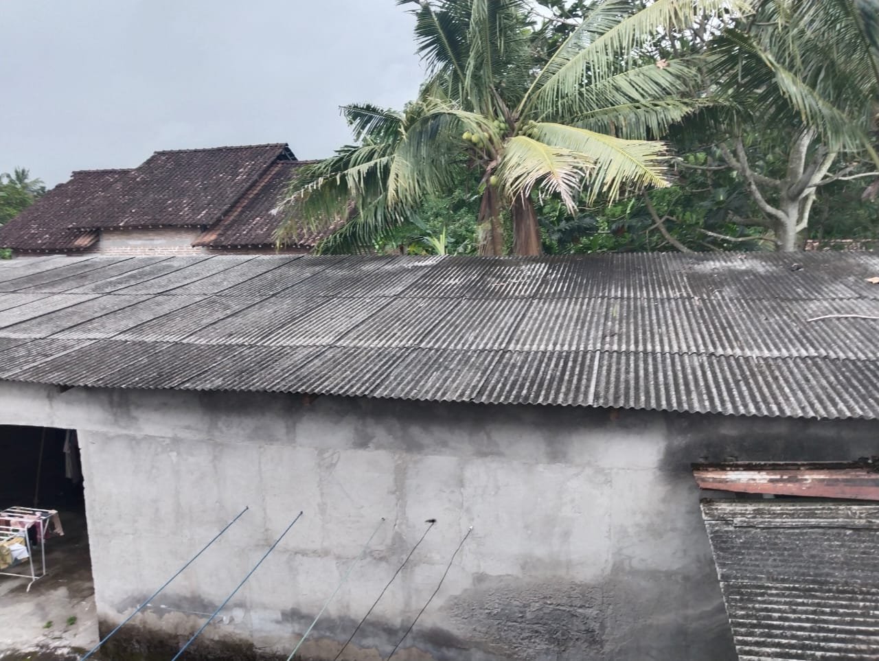 WhatsApp Image 2025-01-06 at 16.58.59