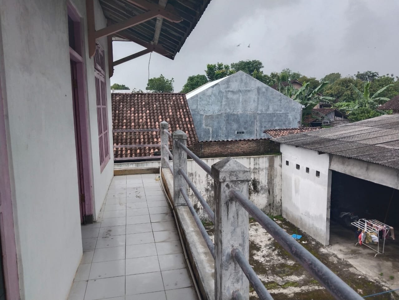 WhatsApp Image 2025-01-06 at 16.59.44 (2)