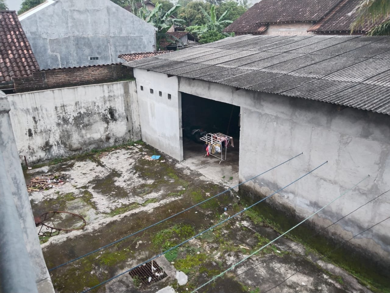 WhatsApp Image 2025-01-06 at 16.59.44