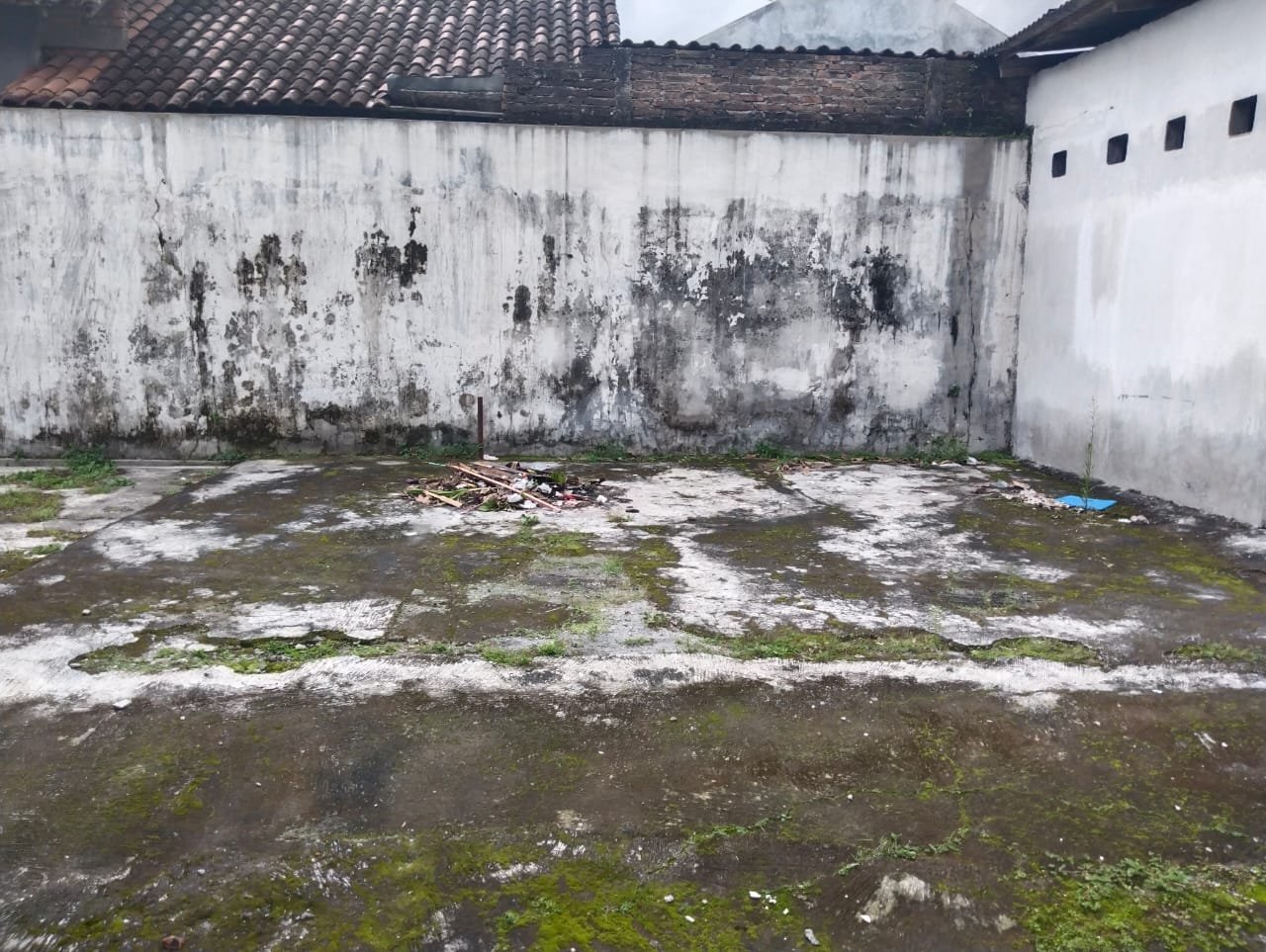 WhatsApp Image 2025-01-06 at 16.59.45 (1)