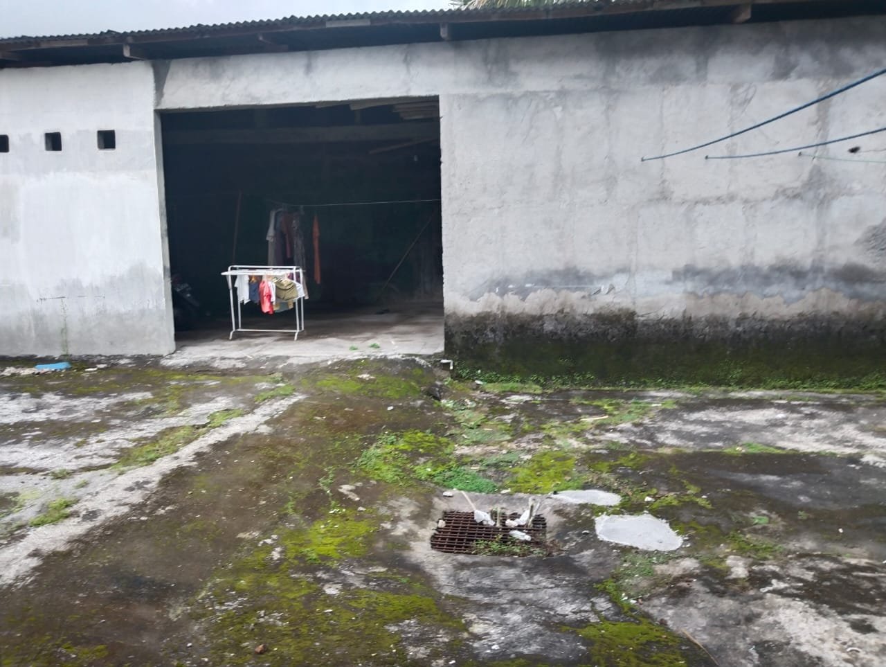 WhatsApp Image 2025-01-06 at 16.59.46 (1)