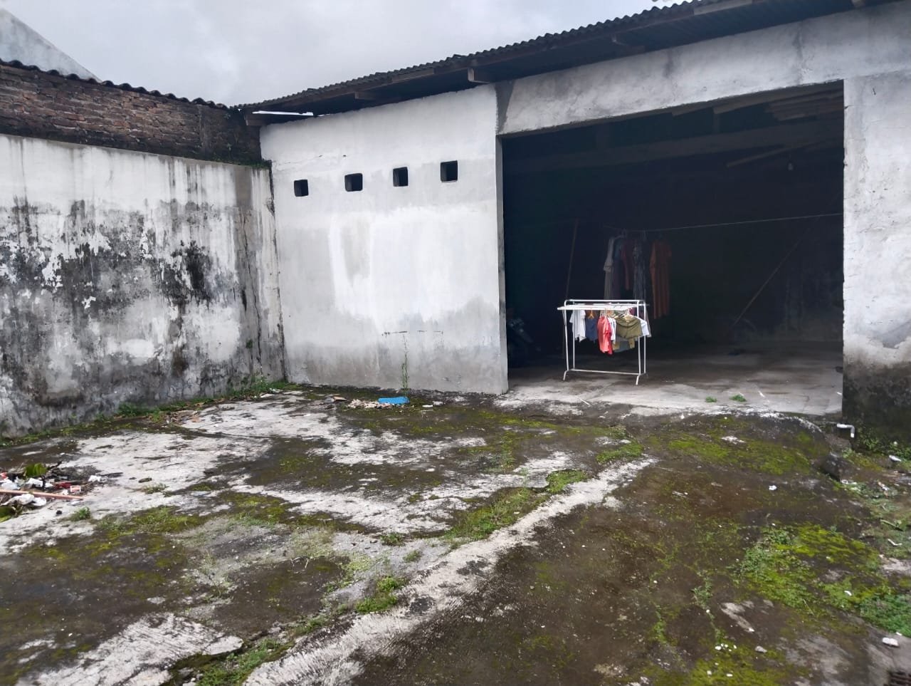 WhatsApp Image 2025-01-06 at 16.59.46