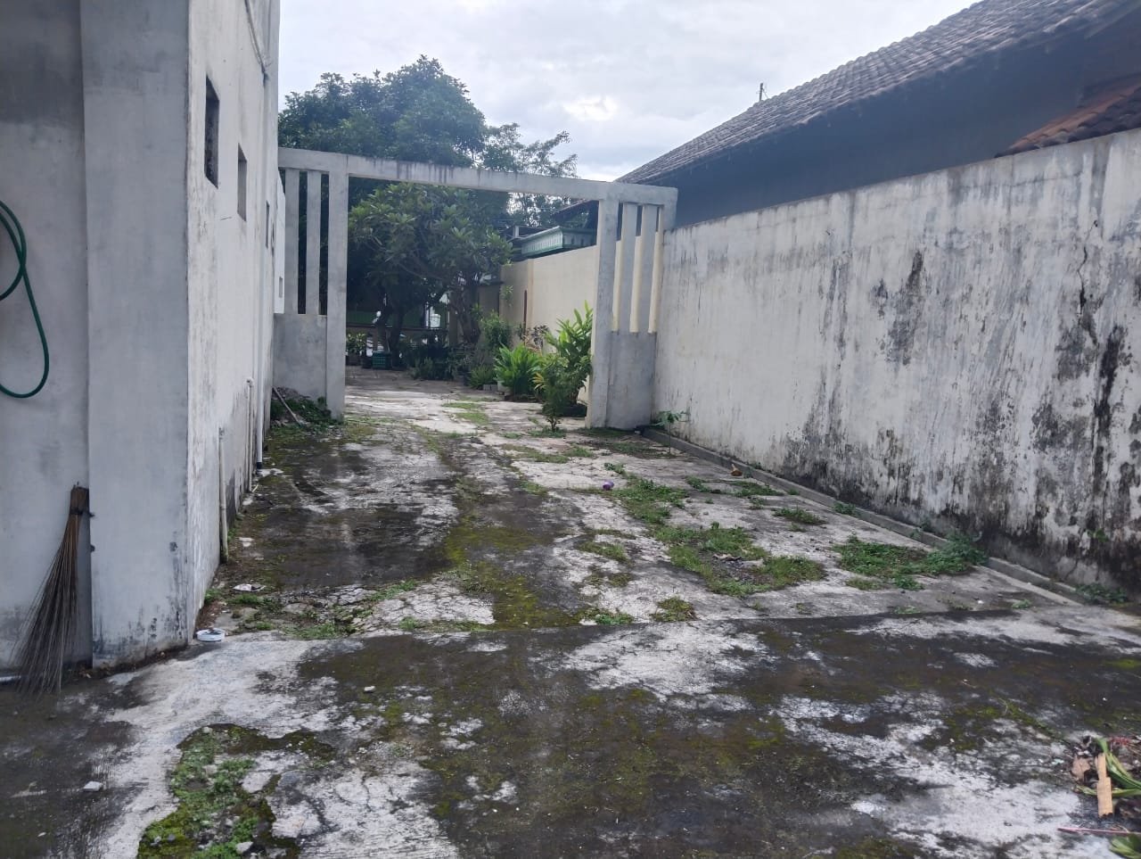 WhatsApp Image 2025-01-06 at 16.59.47