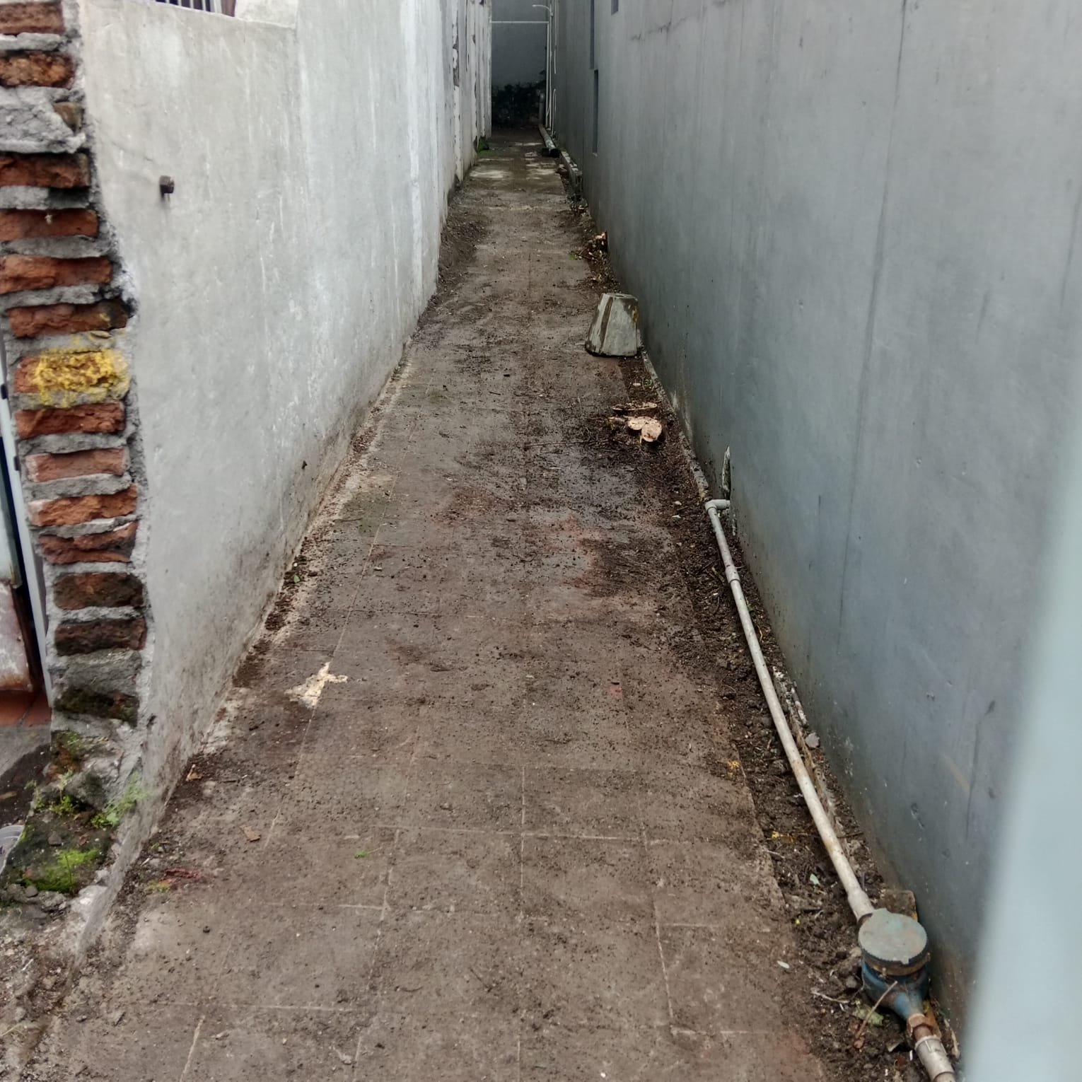 WhatsApp Image 2025-01-10 at 18.54.55