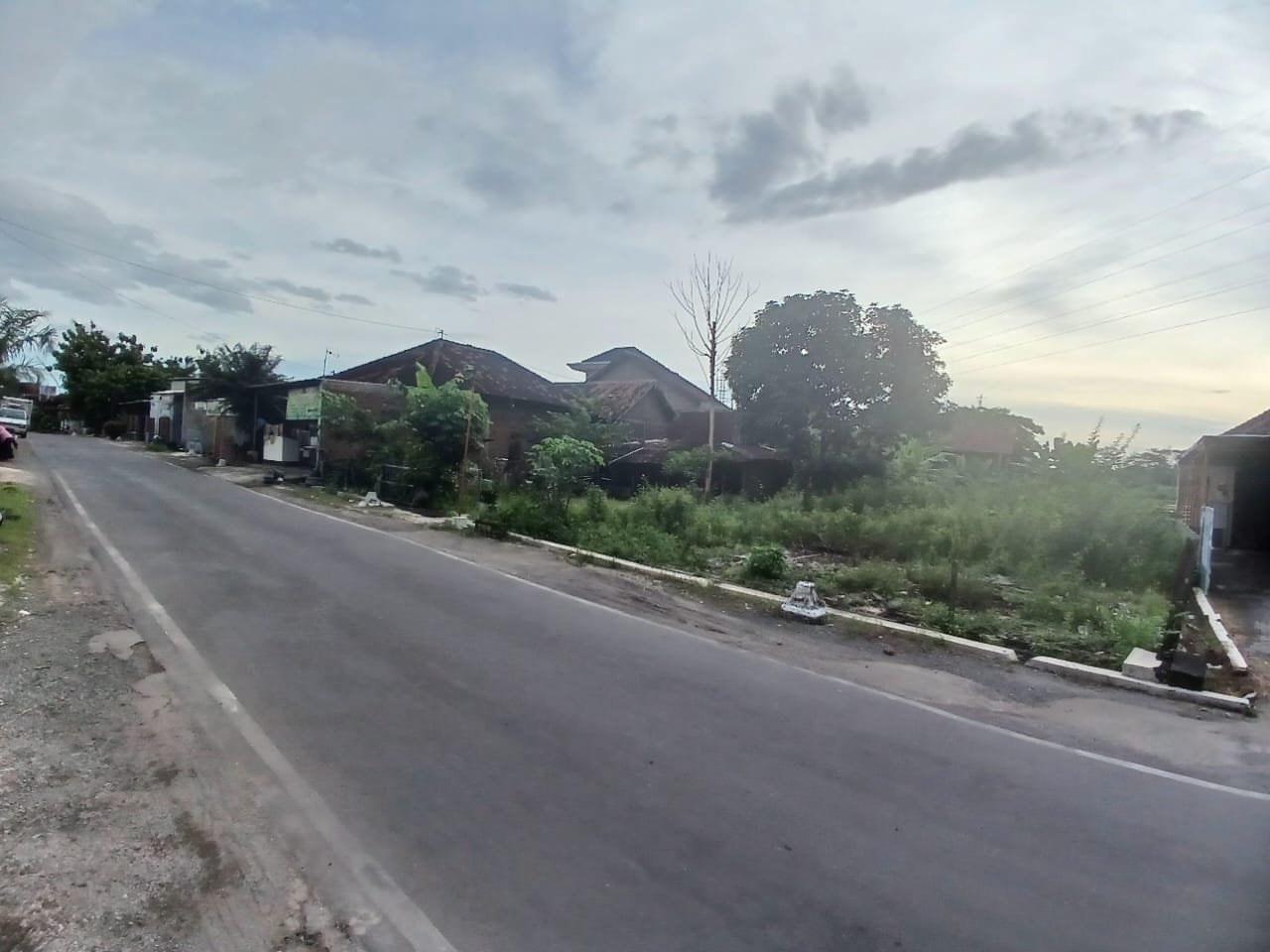 WhatsApp Image 2025-01-14 at 14.35.11 (1)