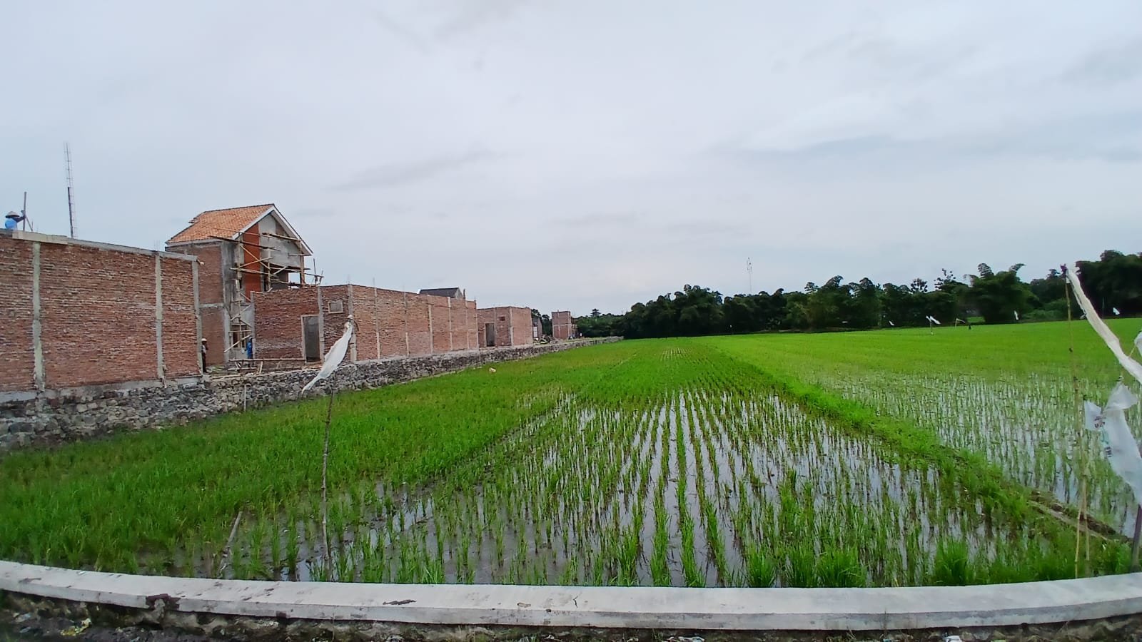 WhatsApp Image 2025-01-17 at 15.32.07 (1)