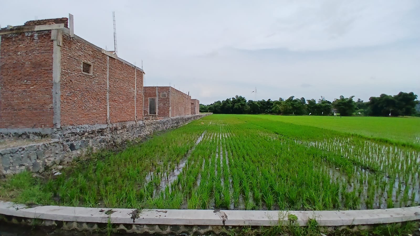 WhatsApp Image 2025-01-17 at 15.32.08 (1)