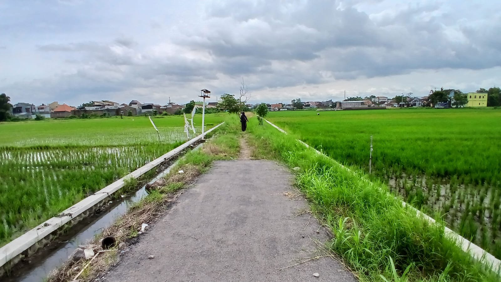 WhatsApp Image 2025-01-17 at 15.32.08 (2)