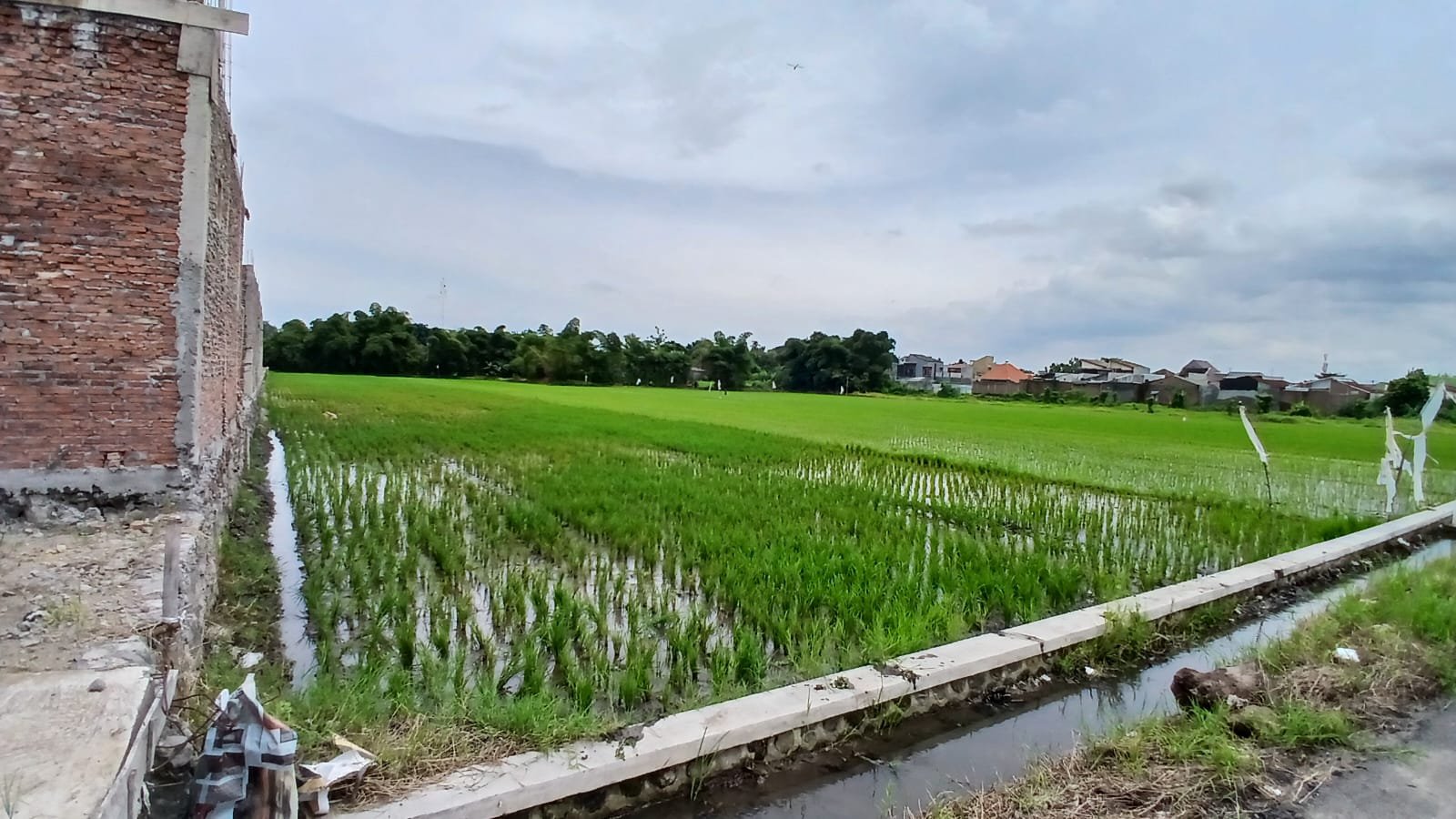 WhatsApp Image 2025-01-17 at 15.32.08 (3)