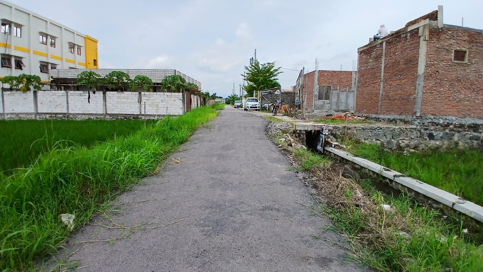 WhatsApp Image 2025-01-17 at 15.32.08