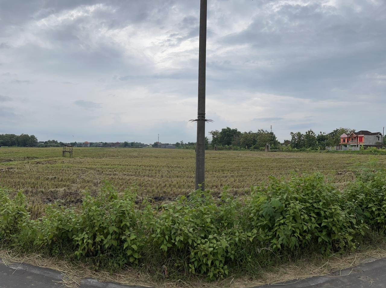 WhatsApp Image 2025-01-18 at 12.36.36 (1)