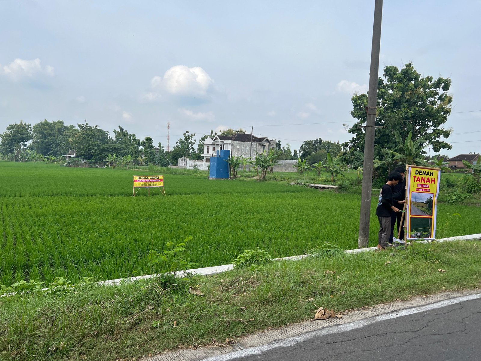 WhatsApp Image 2025-01-18 at 12.36.36