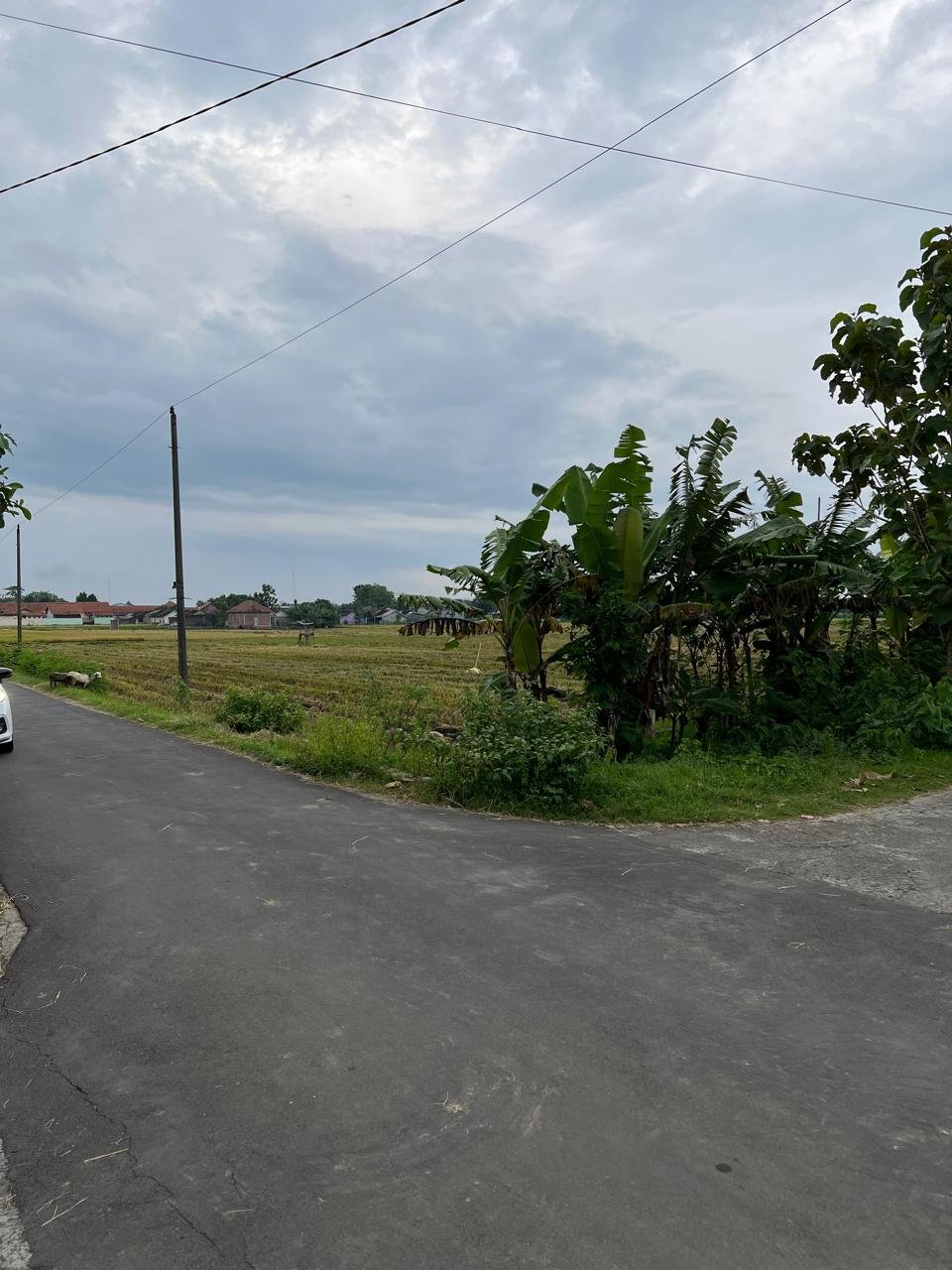 WhatsApp Image 2025-01-18 at 12.36.37 (2)