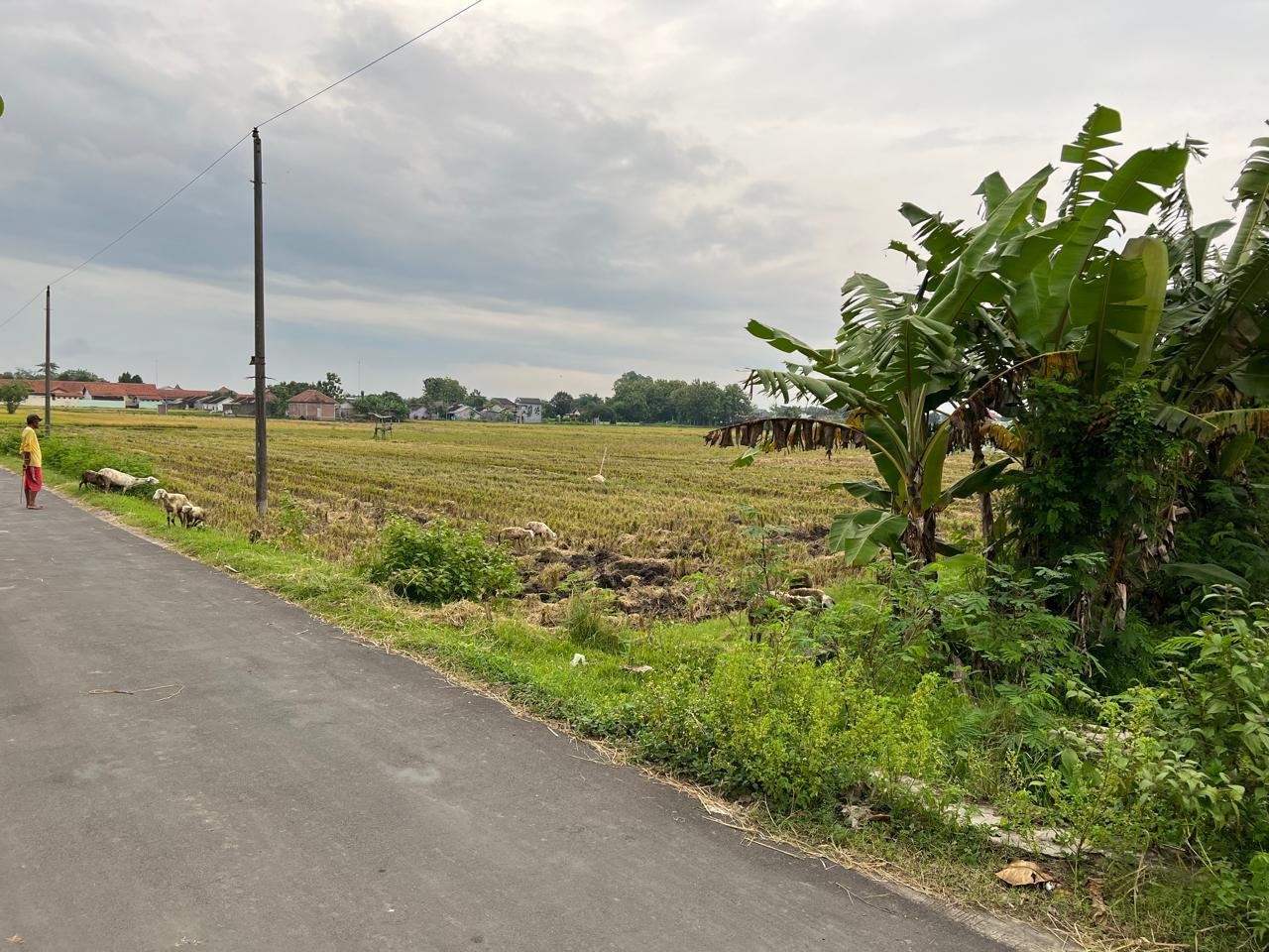 WhatsApp Image 2025-01-18 at 12.36.37