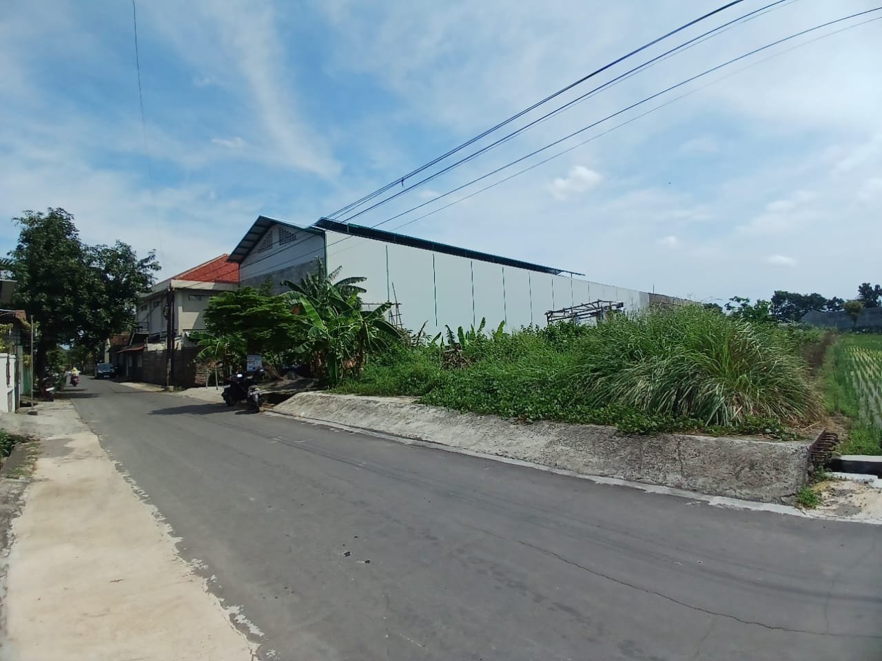 WhatsApp Image 2025-01-20 at 13.15.33