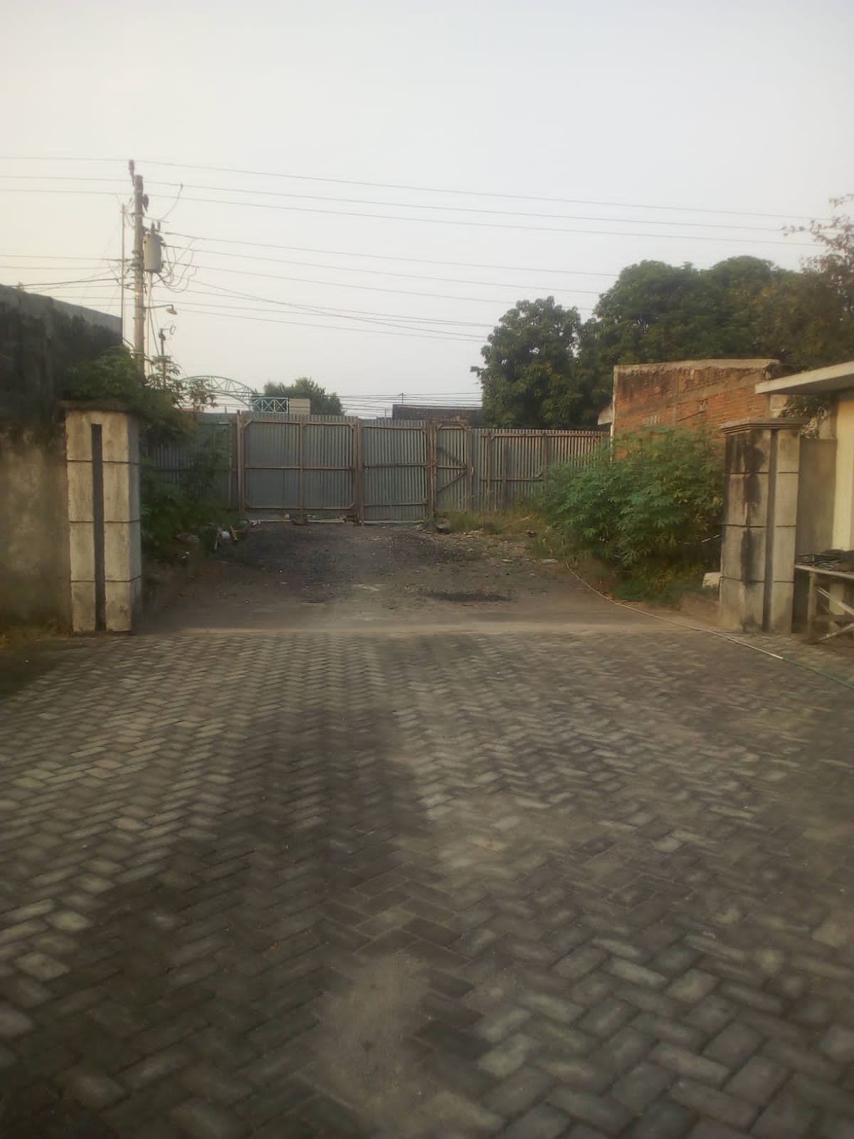 WhatsApp Image 2025-01-23 at 10.31.04 (1)