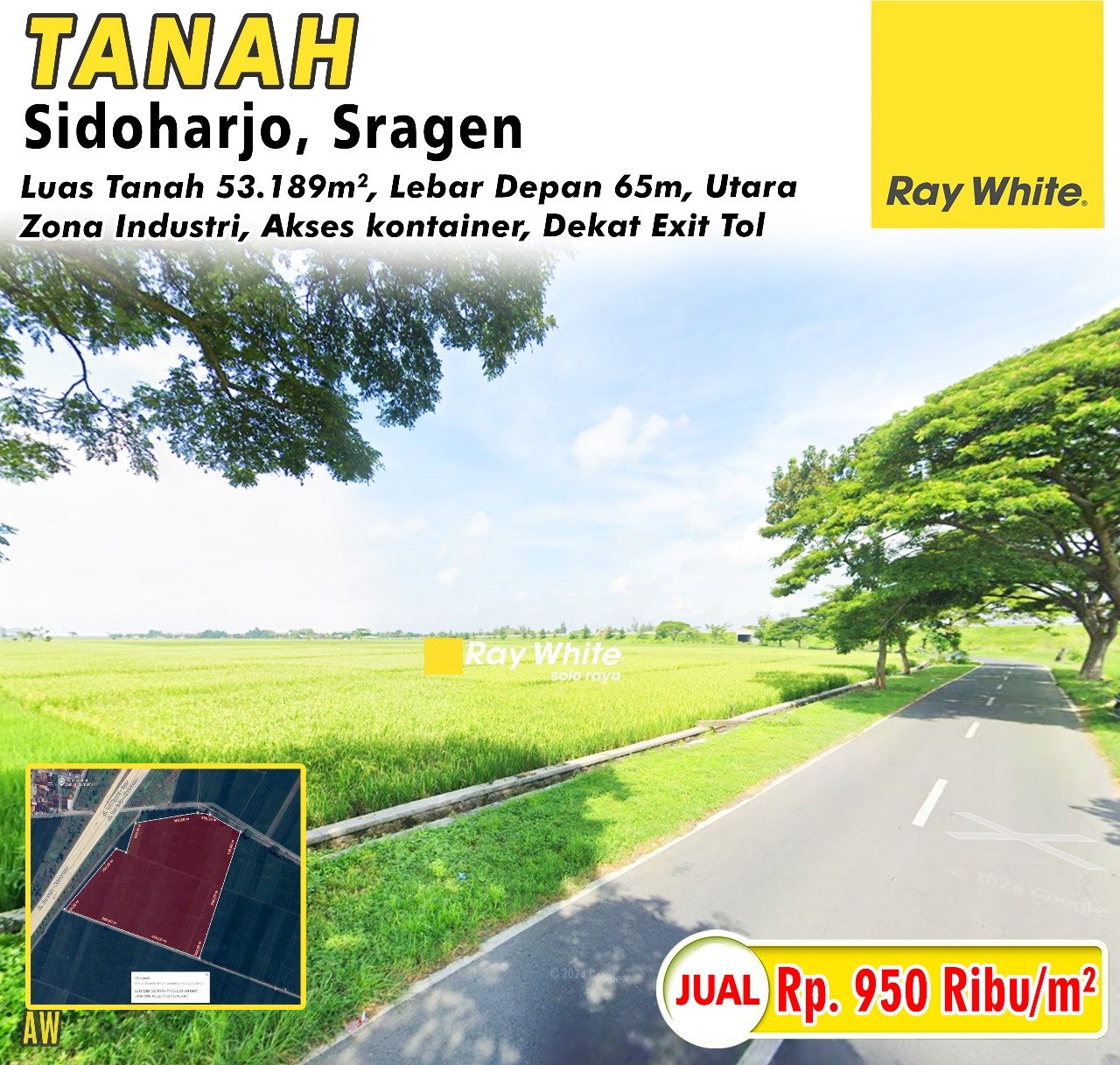 WhatsApp Image 2025-01-24 at 15.17.27