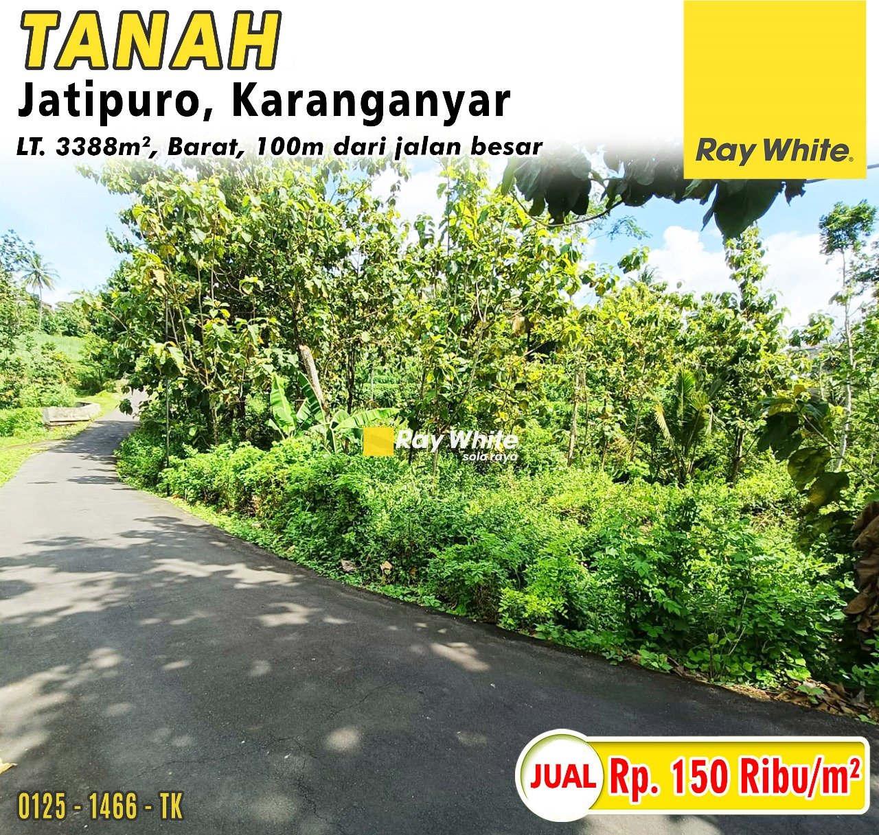 1466. TAtik-Tanah jual desa jatipuro trombol jatipuro karanganyar. SHM 1808. Hrg 150Rb per m2